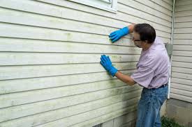 Best Insulated Siding Installation  in New Lno, LA